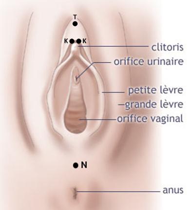 faire jouir une fille zones érogènes