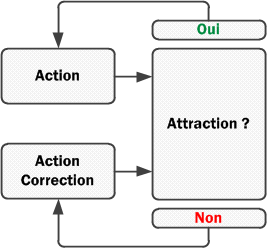 schema-attraction