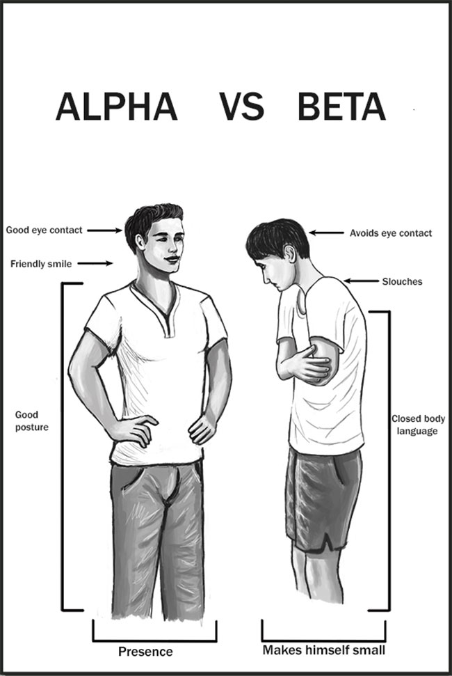 homme alpha versus homme beta
